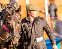Race 6 - Open Maiden race (2 of 110).jpg