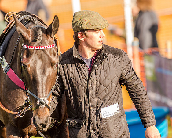 Race 6 - Open Maiden race (2 of 110).jpg
