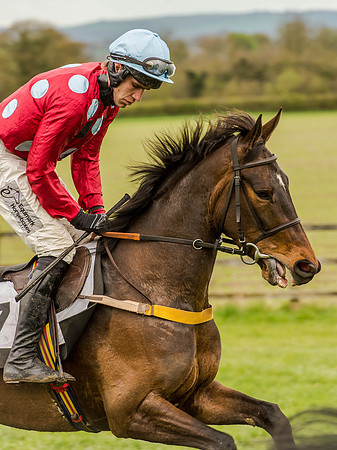 Race 3 - Young Horse maiden 2m5f (41 of 124).jpg