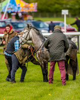 Pony Race 1  (20 of 65).jpg