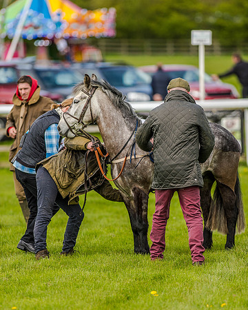 Pony Race 1  (20 of 65).jpg