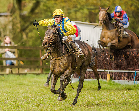 Race 5 - Open Maiden (113 of 147).jpg