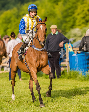 Race 7 - Div 2 - Open Maiden (58 of 163).jpg