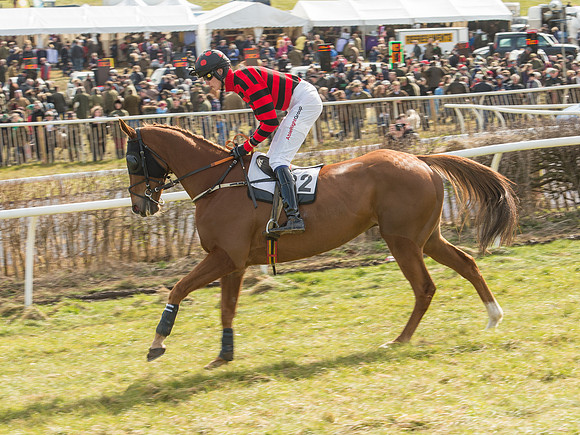 Race 2 - Confined Hunts Race (24 of 87).jpg