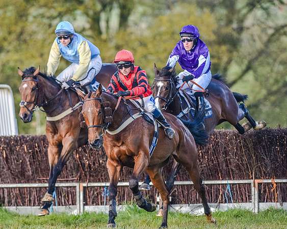 Race 7 - PPORA Club Members for Novice Riders (33 of 81).jpg