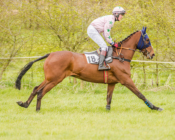 Race 2 - Open Maiden  (56 of 170).jpg