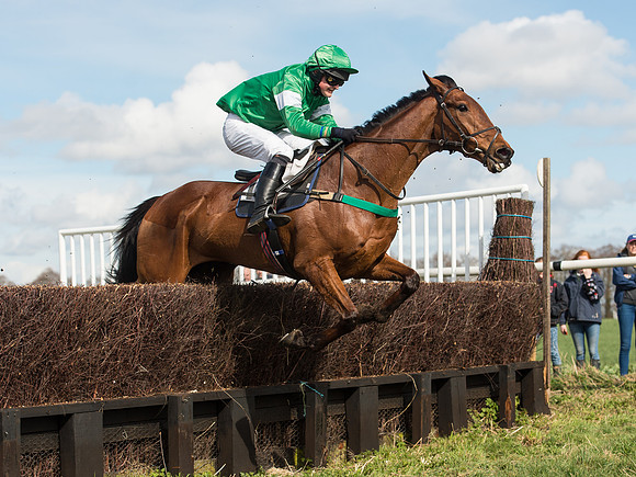 Race 2 - Confined Hunts Race (57 of 87).jpg