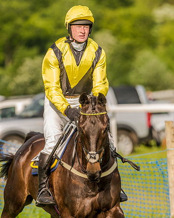 Race 7 - Div 2 - Open Maiden (51 of 163).jpg
