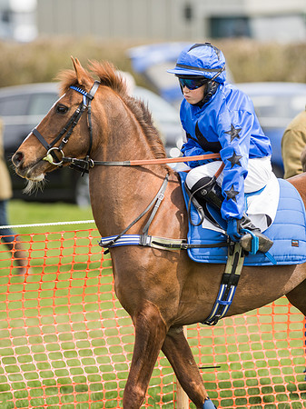 Pytchley Pony Races (20 of 167).jpg