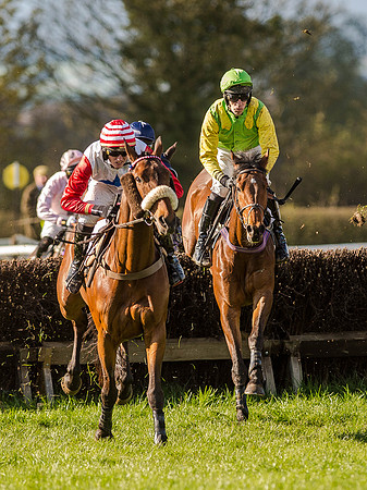 Race 6 - The Open Maiden (42 of 122).jpg