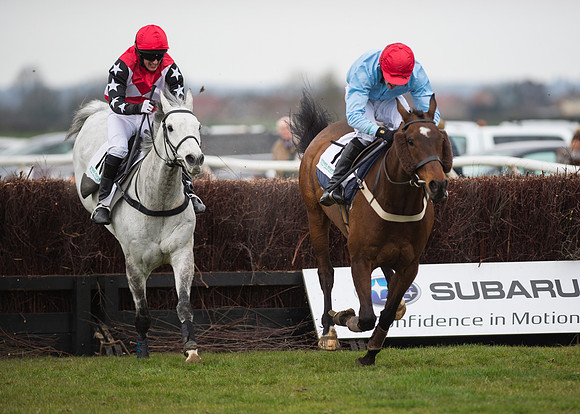 Race 6 - Confined Hunts-89