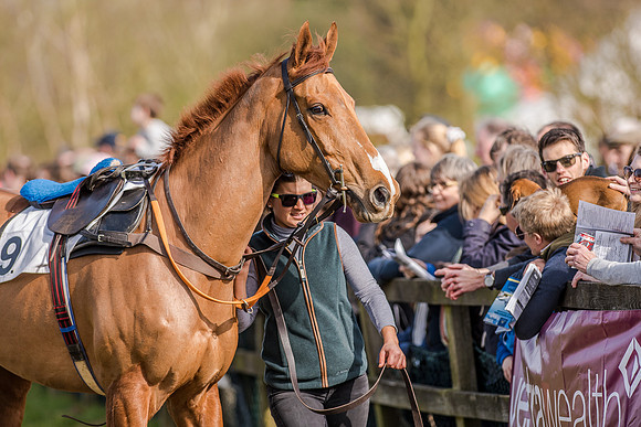 Race 4 - PPORA Club Members for Novice Riders (27 of 131).jpg