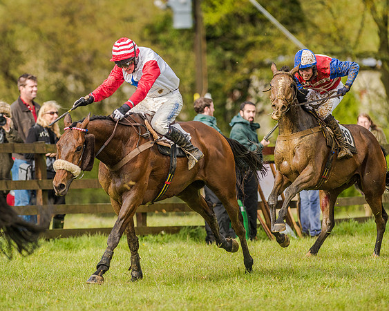 Race 5 - Open Maiden (116 of 147).jpg