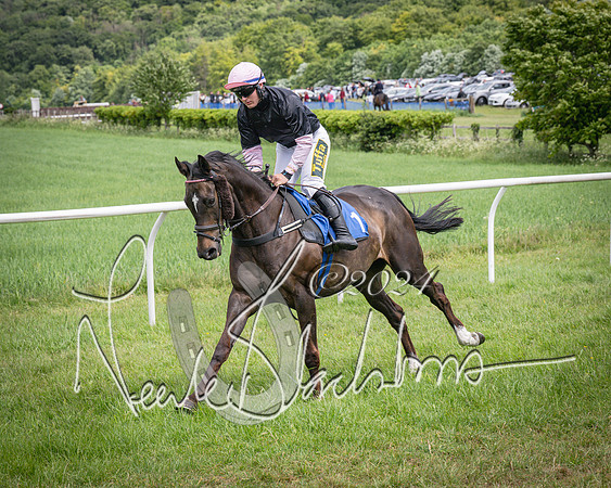 Race 1 - The owner-trainer Conditions race (28 of 118)