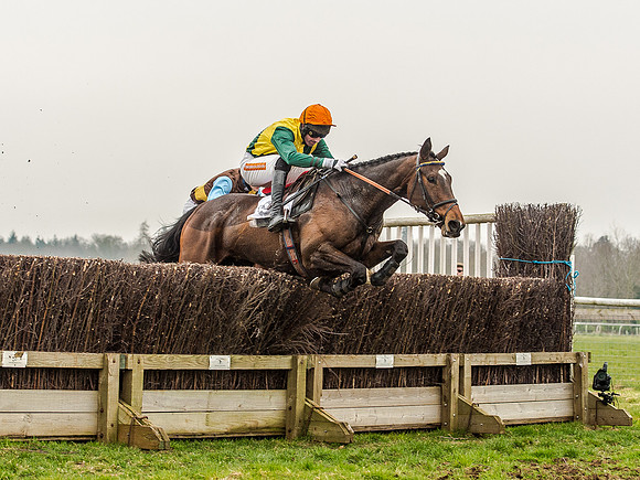 Race 5 - Open Maiden Division 2 (72 of 112).jpg