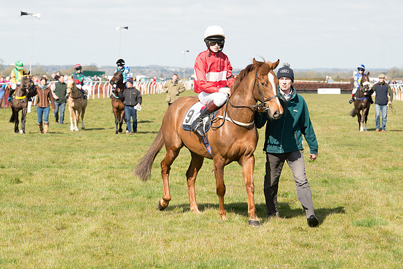 Pony Race 1 - 138cm -49