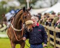 Race 3 - Confined Hunts (3 of 122).jpg