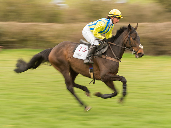 Race 7 - Open Maiden Division 2  (42 of 106).jpg