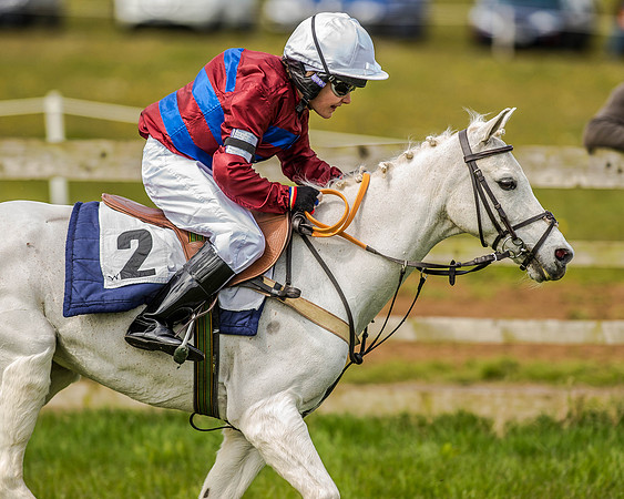 Pony Race 1  (57 of 65).jpg