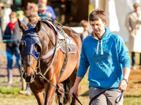 Race 6 - The Open Maiden (13 of 122).jpg