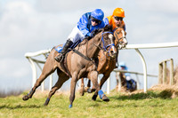 Pony Races