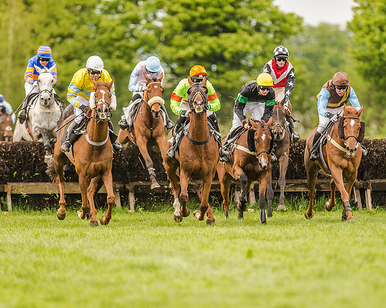 Race 5 - Intermediate Race (96 of 168).jpg