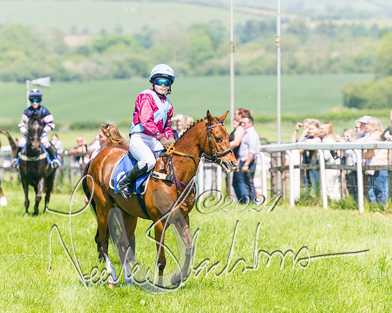 Pony Races  (18 of 141)