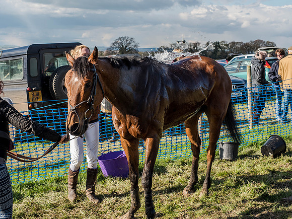 Race 6 - The Open Maiden (108 of 122).jpg