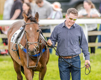 Pony Race 3 (14 of 56).jpg