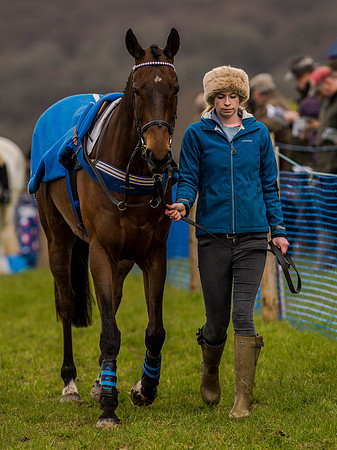 Race 1 - Confined Hunts (17 of 118).jpg