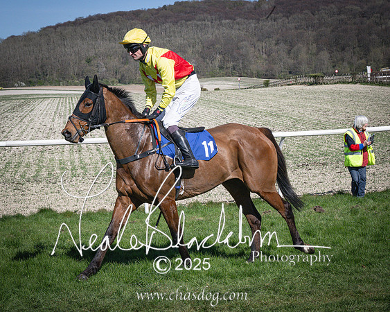 Race 5 - The restricted (44 of 113)