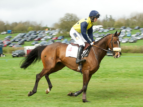 Race 5 - Restricted  8
