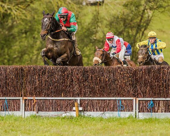 Race 5 - Open Maiden (105 of 147).jpg