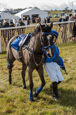 Pony Race 1 - 138cm  (57 of 57).jpg