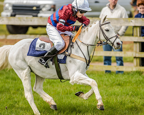 Pony Race 1  (55 of 65).jpg