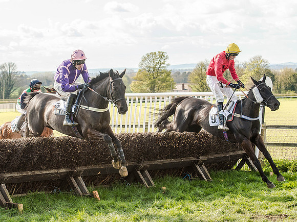 Race 5 - The Southern Grand national (35 of 96).jpg