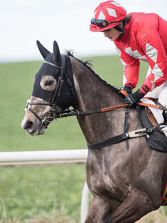 Race 6 - Open Maiden (25 of 110).jpg