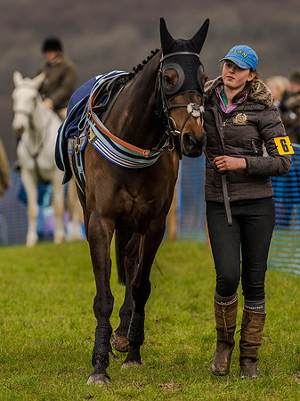 Race 1 - Confined Hunts (21 of 118).jpg