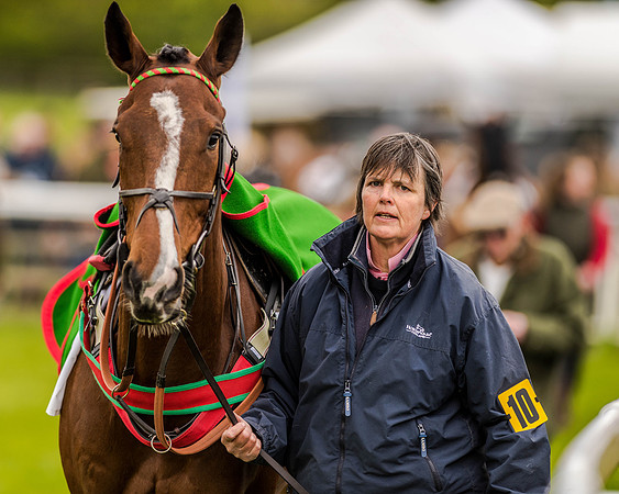 Race 2 - Open Maiden  (22 of 170).jpg