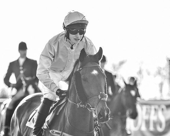 Race 7 - PPORA Club Members for Novice Riders (18 of 81).jpg