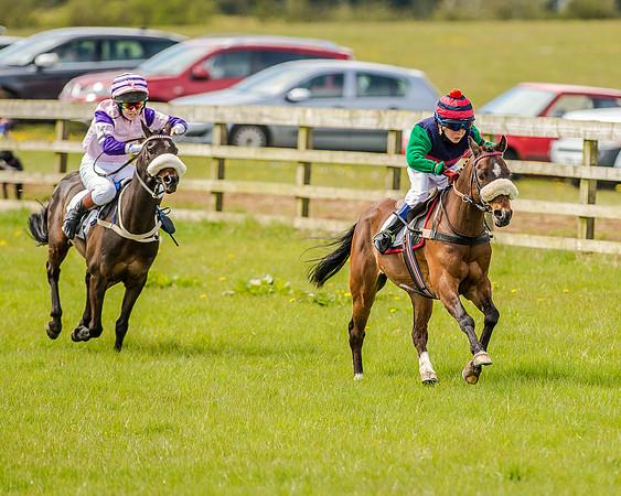 Pony Race 1  (30 of 65).jpg