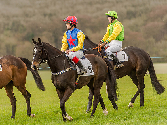 Race 2 - PPORA Club Members Conditions 2m5f (46 of 137).jpg