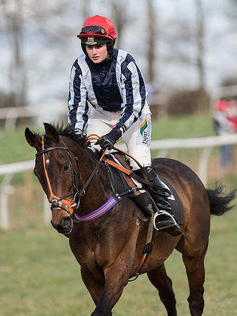 Race 5 - Restricted Race (45 of 120).jpg