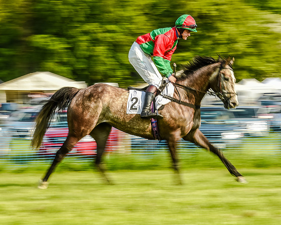 Race 7 - Div 1 - Open Maiden (28 of 94).jpg