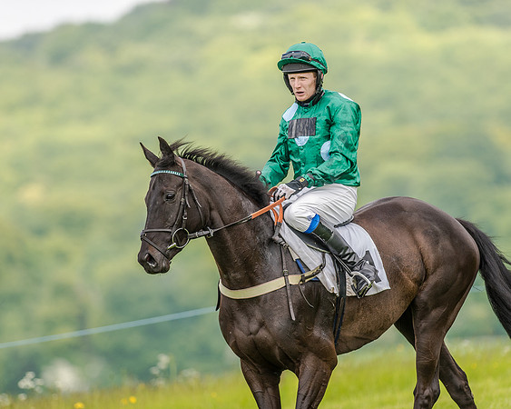Race 2 - PPORA Members Novice Riders  (29 of 112).jpg