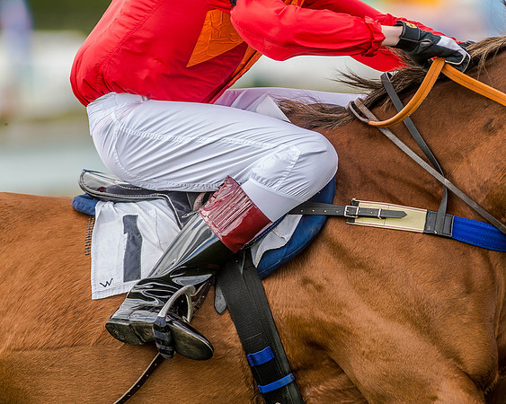 Pony Race 3 (66 of 78).jpg