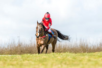 Pony Race 1 - 138cm  (12 of 57).jpg