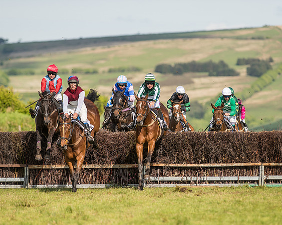 Race 6 - Open Maiden Race (48 of 71).jpg