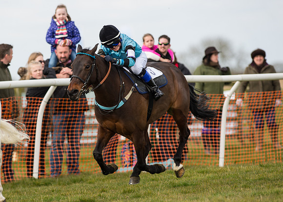 Pony Race 1 - 138cm -79