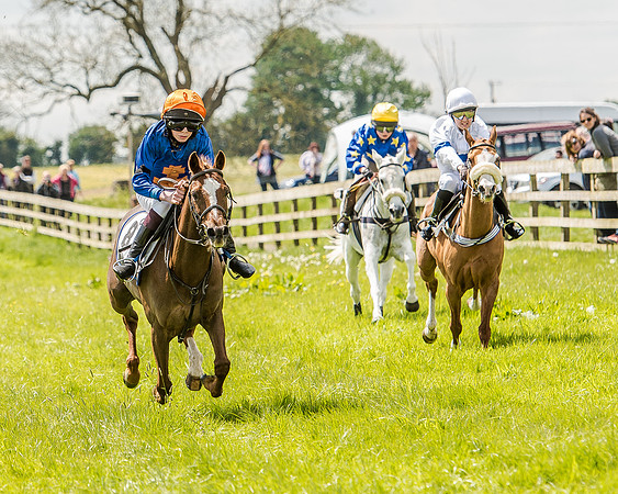Pony Race 2 (53 of 57).jpg